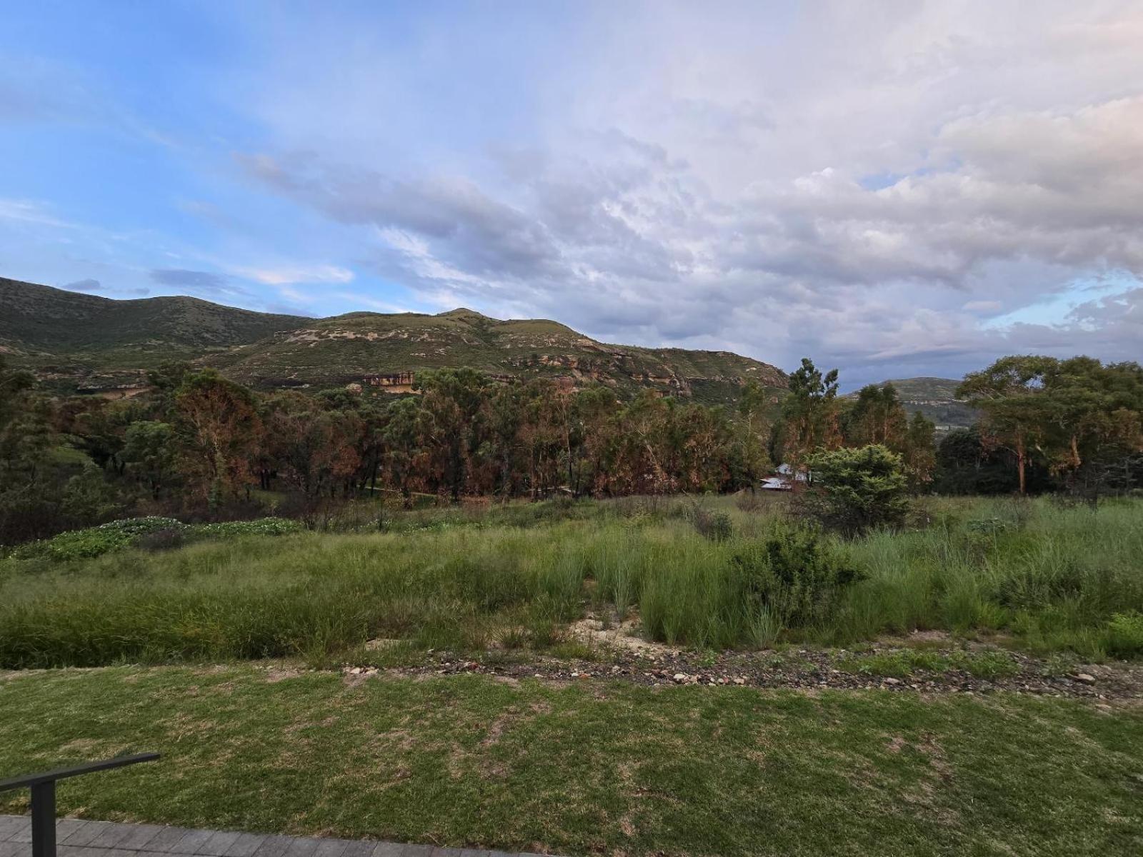 Ridgeview * Clarens